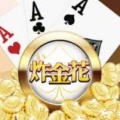 AAA炸<金花>20元官方版2024