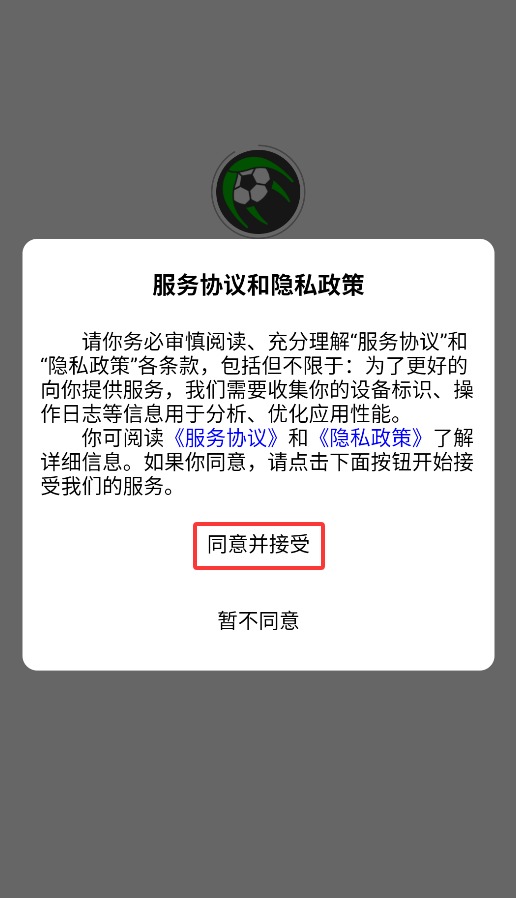 叶子足球
