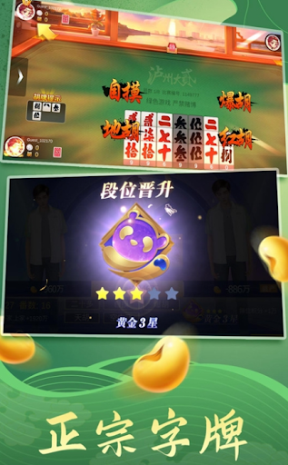 家乡大贰辅助神器