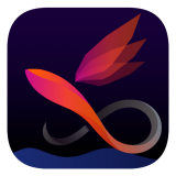 易动体育app