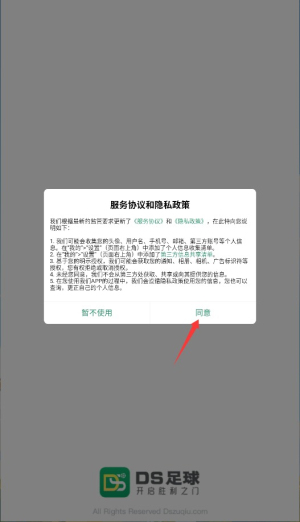 DS足球