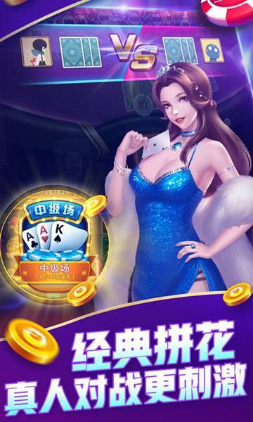 (领)域棋牌正版