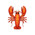 bet36体育官网app.首页