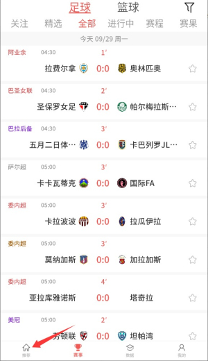 料码体育
